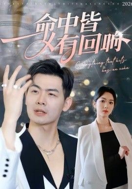 命中皆有回响
